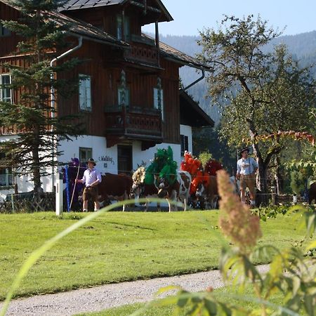 Gaestehaus Hoegerhof Hopfgarten im Brixental Buitenkant foto